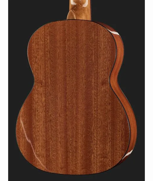 Gewa Pro Arte GC-25 A detail 5