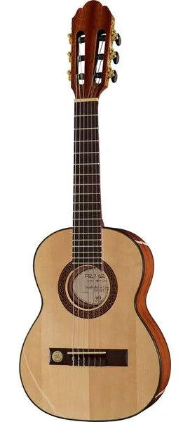 Gewa Pro Arte GC-25 A vooraanzicht