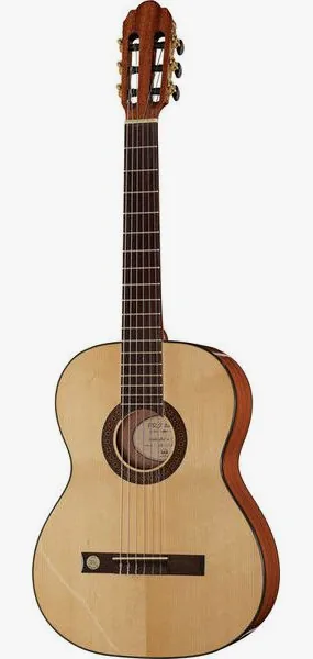 Gewa Pro Arte GC100A vooraanzicht