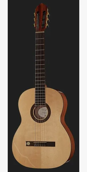 Gewa Pro Arte GC130A detail 2