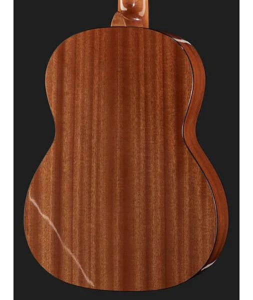 Gewa Pro Arte GC130A detail 5