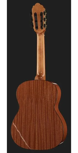 Gewa Pro Arte GC50A detail 3