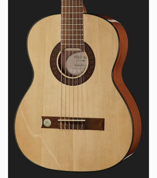 Gewa Pro Arte GC50A detail 4