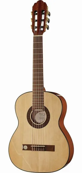 Gewa Pro Arte GC50A vooraanzicht