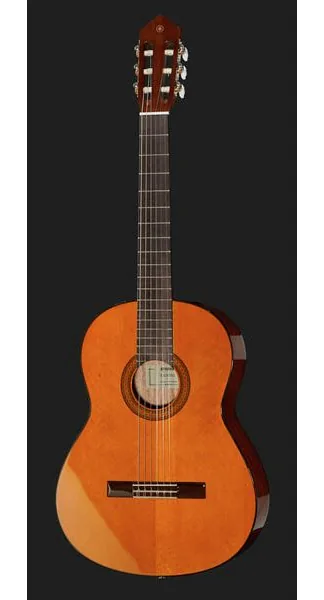 Yamaha CGX 102 detail 2