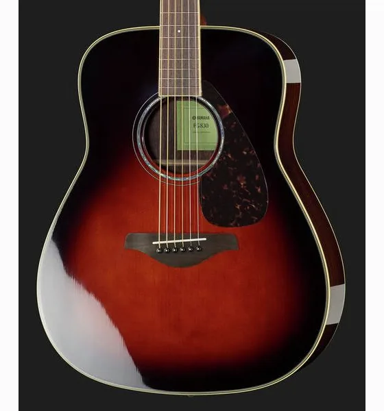 Yamaha FG830 TBS detail 4