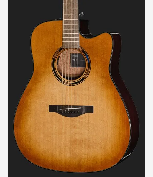 Yamaha TAG1 C Sand Burst detail 4