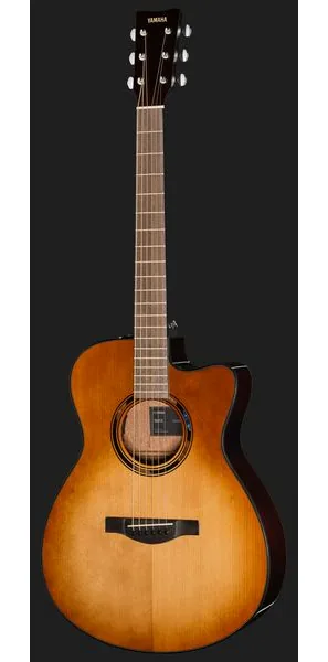 Yamaha TAS1 C Sand Burst detail 2