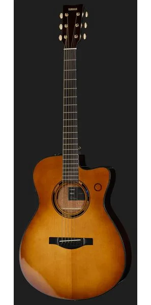 Yamaha TAS3 C Sand Burst detail 2