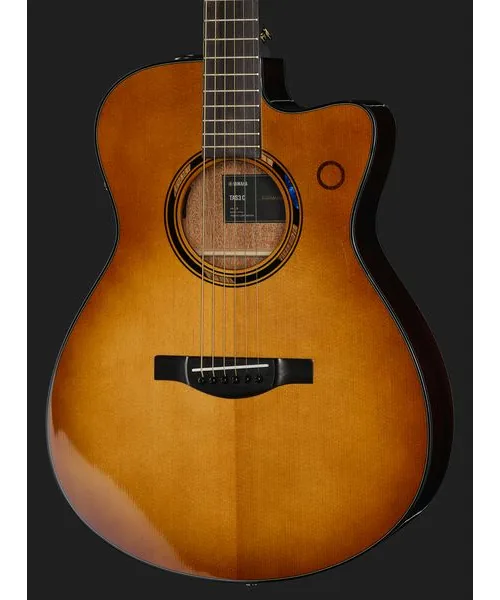 Yamaha TAS3 C Sand Burst detail 4